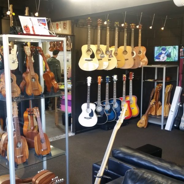 Buy Musical Instruments Online From Music Instrument Shop in NZ